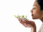 Achtweekse mindfulness-training Den Haag star